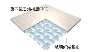 PTFE  ������Ĥ��